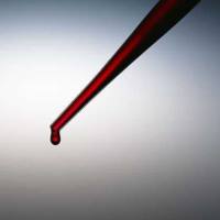 PIP1;3 | 水通道蛋白，质膜内在蛋白 1-3