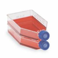 Thermo EasyFlasksTMNunclonTM△易用培养瓶，聚苯乙烯，已灭菌，培养