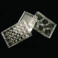 LabServ 12 1/50细胞培养板