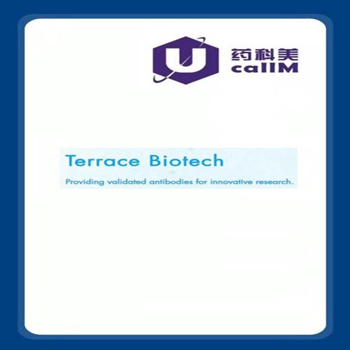 北京美科美生物公司代理Terrace Biotech