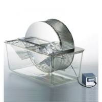 大鼠跑轮,大鼠跑步轮,大鼠自由活动跑轮