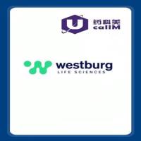 北京美科美生物公司代理westburg