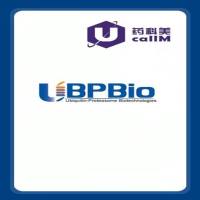 北京美科美生物公司代理UBPbio