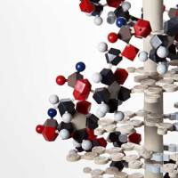 AKING1 | SNF1相关蛋白激酶调节亚基γ1