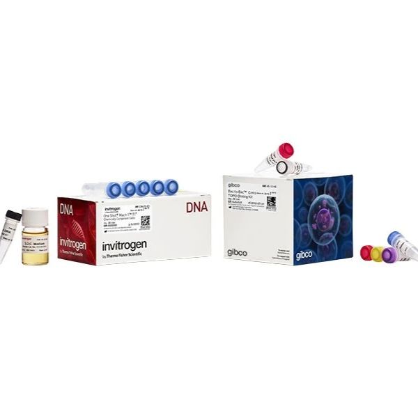 Thermo Scientific生化试剂-DNA试剂- PCR试剂盒、DNA 合成试剂和合成柱