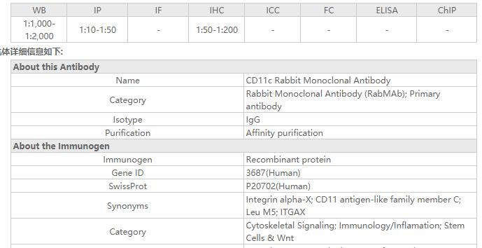 CD11c Rabbit Monoclonal Antibo
