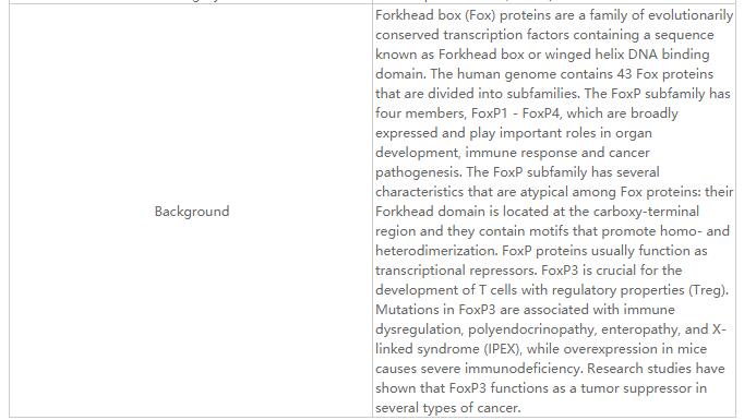 FOXP3 Rabbit Polyclonal Antibo