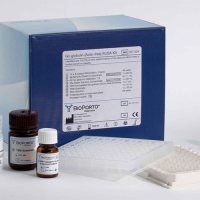 ELISA试剂盒 上万种实验室常用规格-现货