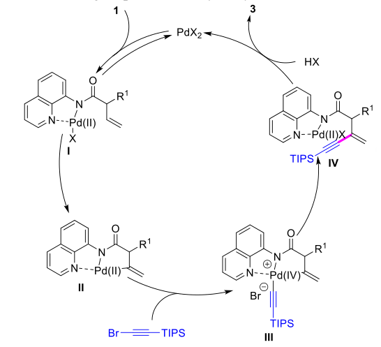 钯催化烯烃的 C-H 活化炔基化制备共轭 1,3-烯炔