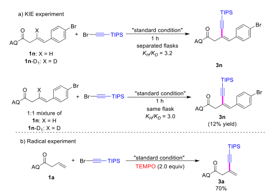 钯催化烯烃的 C-H 活化炔基化制备共轭 1,3-烯炔