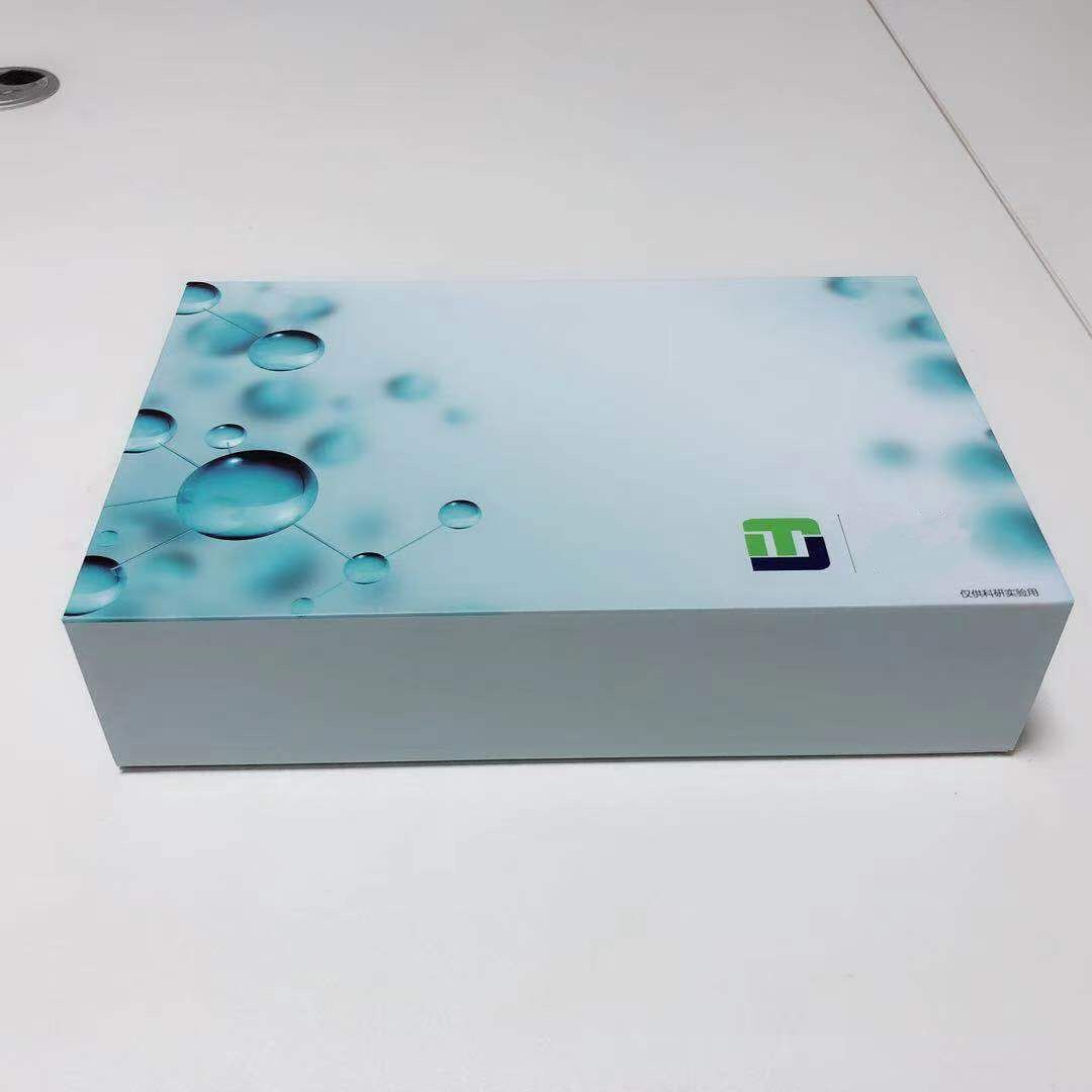 小鼠IL-6ELISA试剂盒