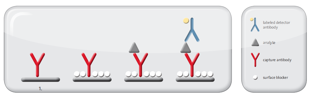 Candor推荐ELISA实验设置优化流程