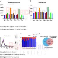 基于高精度质谱的免疫多肽组学分析及新抗原发现|百泰派克生物科技