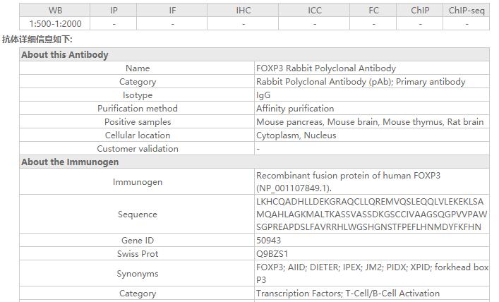 FOXP3 Rabbit Polyclonal Antibo