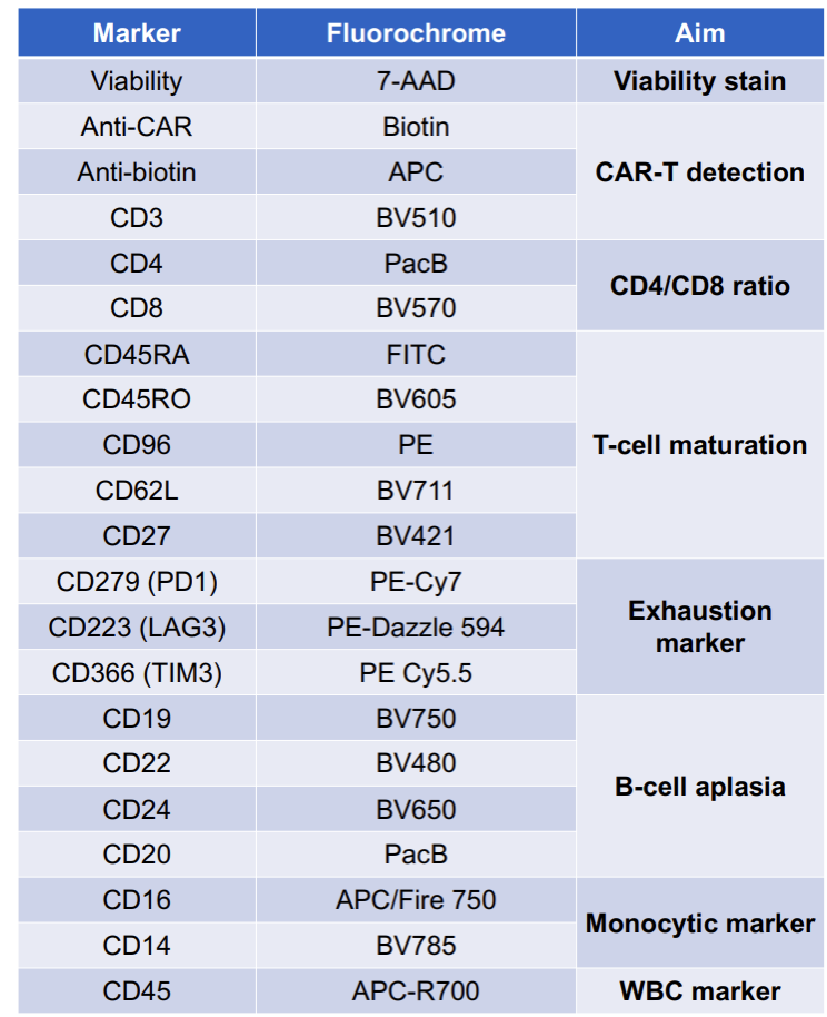 Big Panel Theory系列之-3激光19色（20标记）CAR-T细胞治疗监测方案