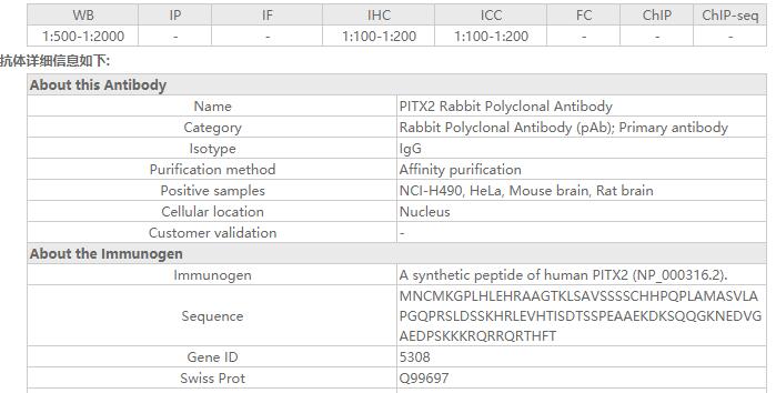 PITX2 Rabbit Polyclonal Antibo