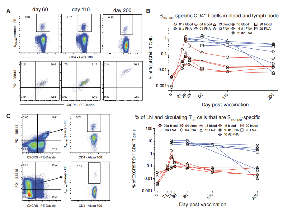 Nature Cell三连发：Ali H. Ellebedy团队揭示新冠mRNA疫苗接种后的长效保护