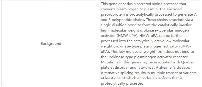 PLAU Rabbit Polyclonal Antibod