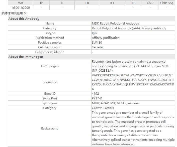 MDK Rabbit Polyclonal Antibody