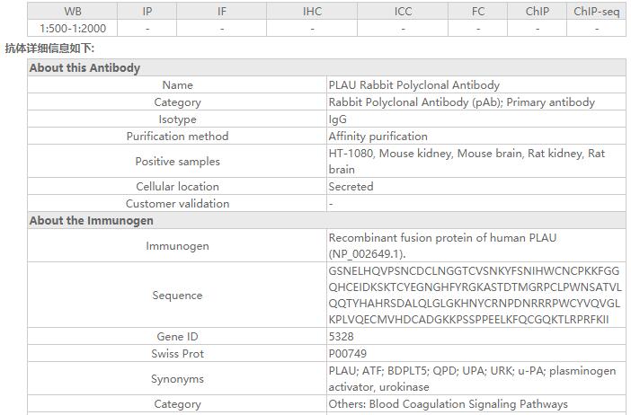PLAU Rabbit Polyclonal Antibod