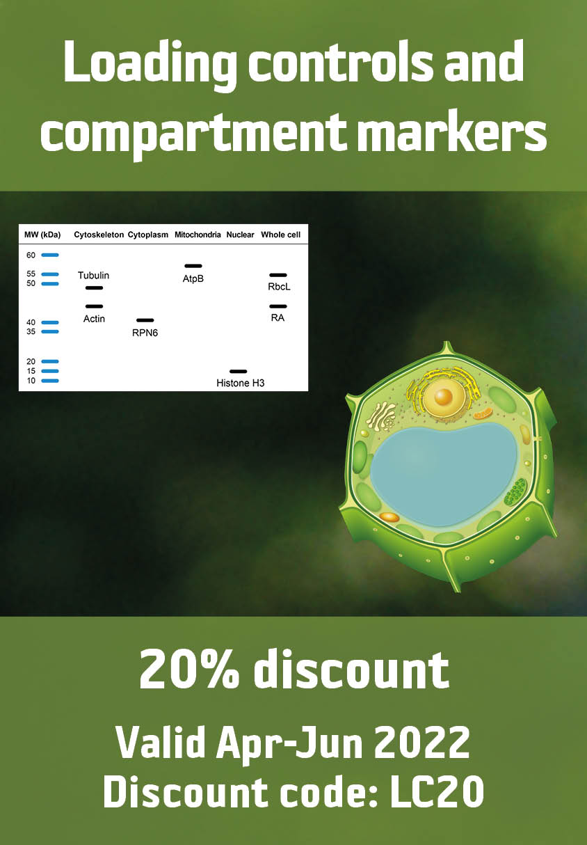 20% discount on loading control and compartment marker antibodies
