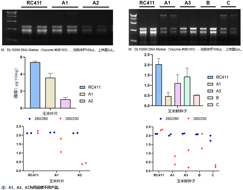 上新丨简便又快速的植物RNA提取试剂盒惊喜来袭！