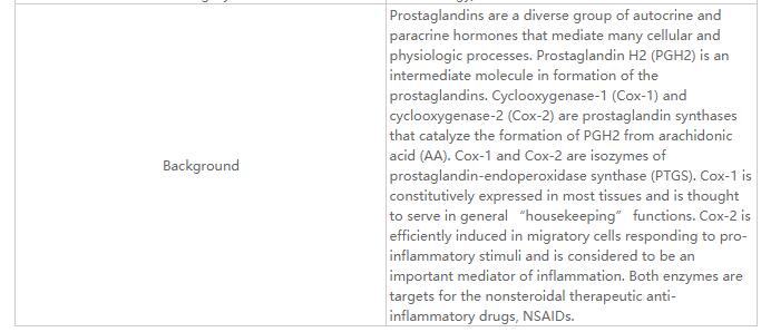 COX2/Cyclooxygenase 2 Rabbit M