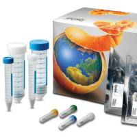 186006812沃特世DisQuE QuEChERS样品前处理厂家特价