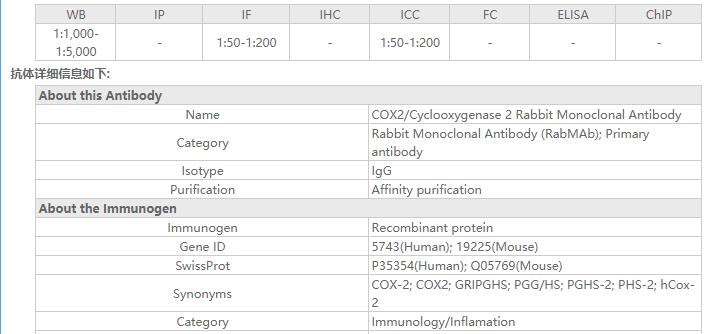 COX2/Cyclooxygenase 2 Rabbit M
