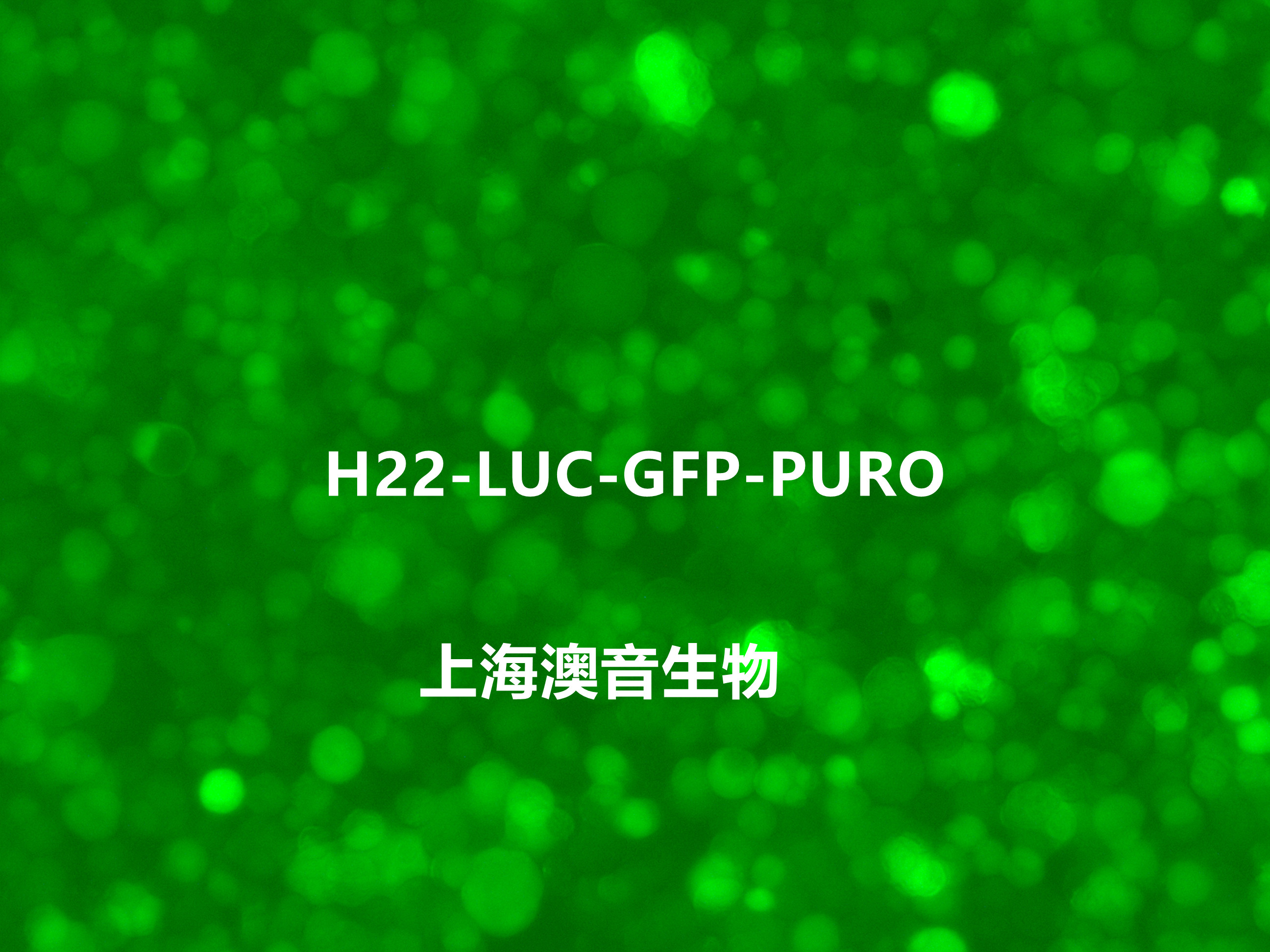 产品细节图片1