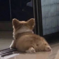 user-title