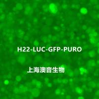H22-LUC-GFP-Puro【H22-LUC;H22-GFP】双标记的小鼠肝癌细胞