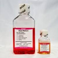 干细胞去外泌体完全培养基