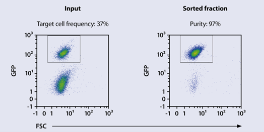 MACSQuant® Tyto流式细胞分选仪环球之旅，首站---中国