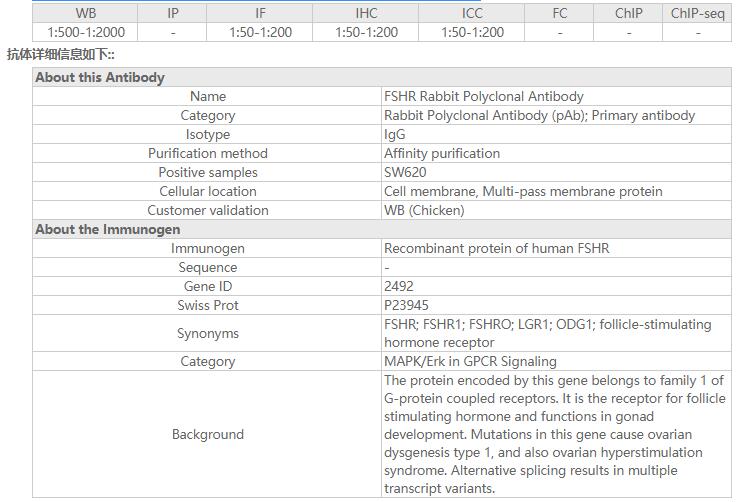 FSHR Rabbit Polyclonal Antibod
