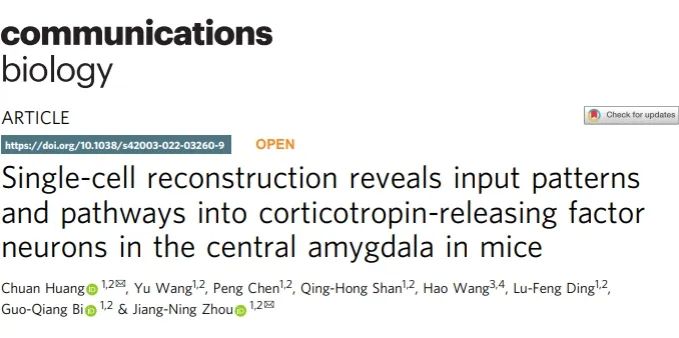 【客户文章】中科大周江宁团队在单细胞水平上揭示了中央杏仁核内的促肾上腺皮质激素释放因子神经元的全脑输入模式与路径