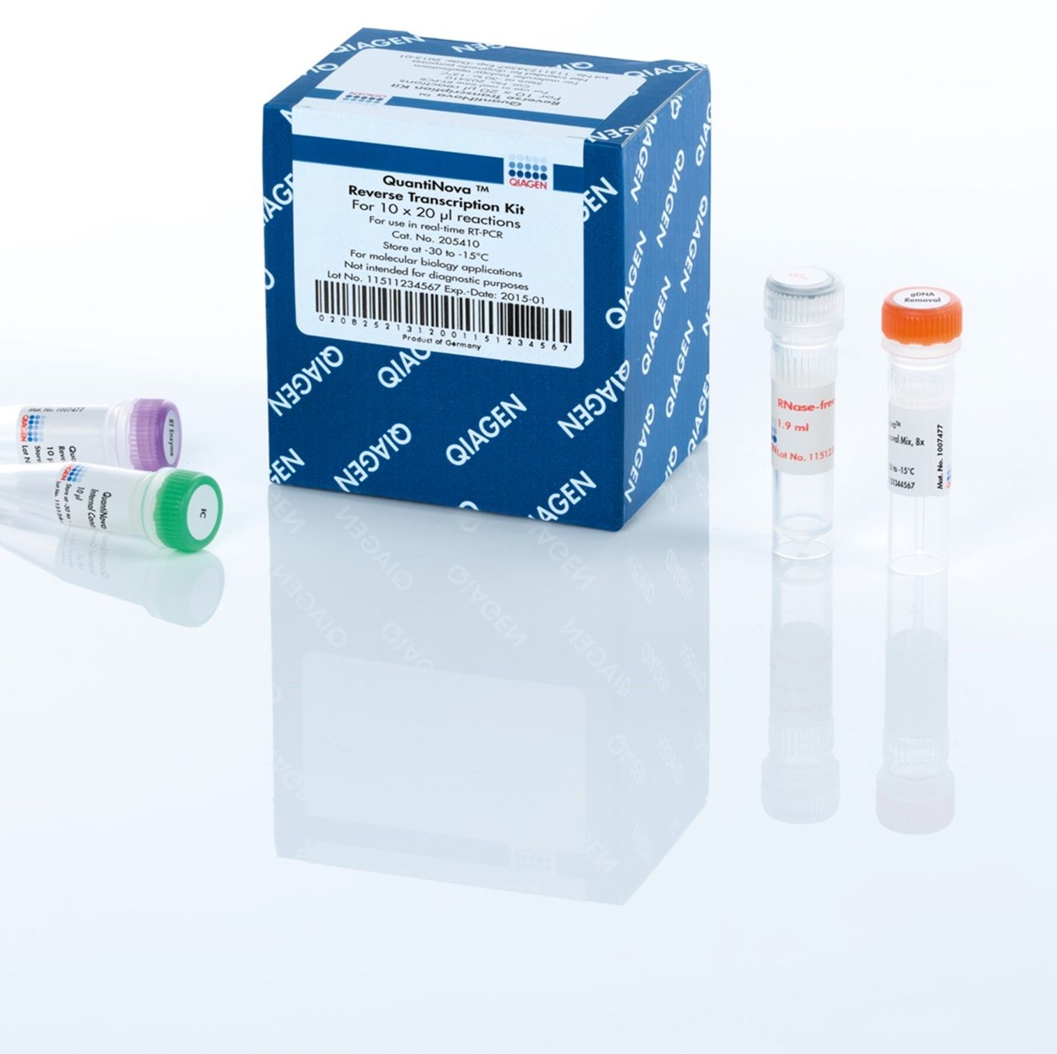 EpiTect Fast DNA Bisulfite Kit (50)