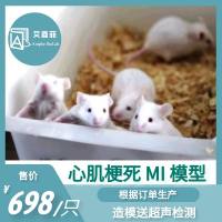 心肌梗死(MI)小鼠模型 MI模型 心梗模型