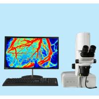 激光散斑血流成像系统,动物激光散斑血流成像仪