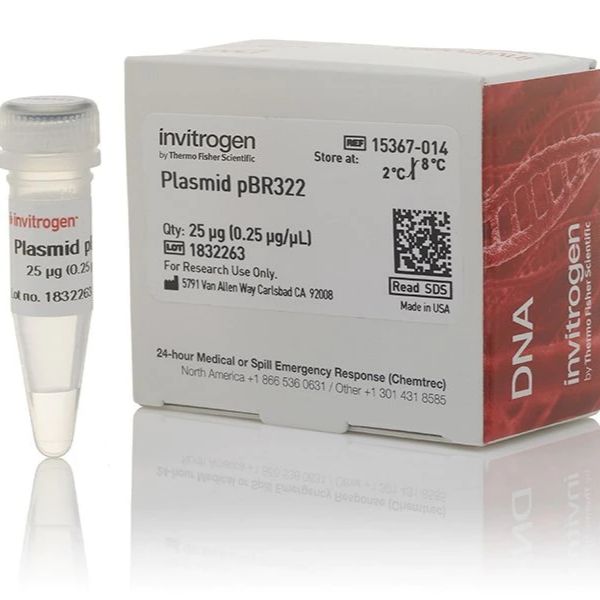 Thermo Scientific生化试剂-DNA试剂- DNA克隆、图谱和精选