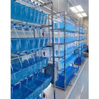 斑马鱼饲养水槽, 斑马鱼实验养殖系统