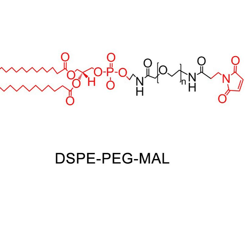DSPE-PEG-Mal、磷脂-聚乙二醇-马来酰亚胺