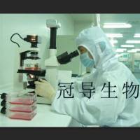 维生素B12测定用培养基工厂配制
