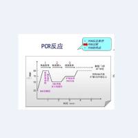 猪伪狂犬通用/猪圆环 2 型/高致病性猪蓝耳病病毒(PRV-gB/PCV-2/PRRSV-M)核酸检测试剂盒(三重荧光 PCR 法)