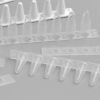 Watson 137-531C 0.2ml荧光定量PCR平盖八排管(含盖)