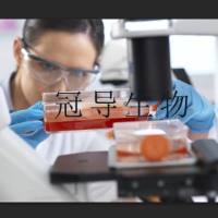 麦康凯肉汤培养基工厂配制