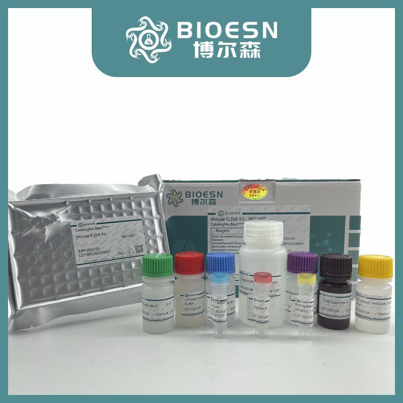 支原体PCR检测试剂盒
