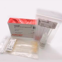 LIVE/DEAD™ BacLight™ 细菌活力检测试剂盒 货号: L13152