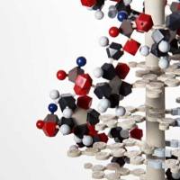 兔 F(ab')2 IgG-PE、Rabbit F(ab')2 IgG-PE