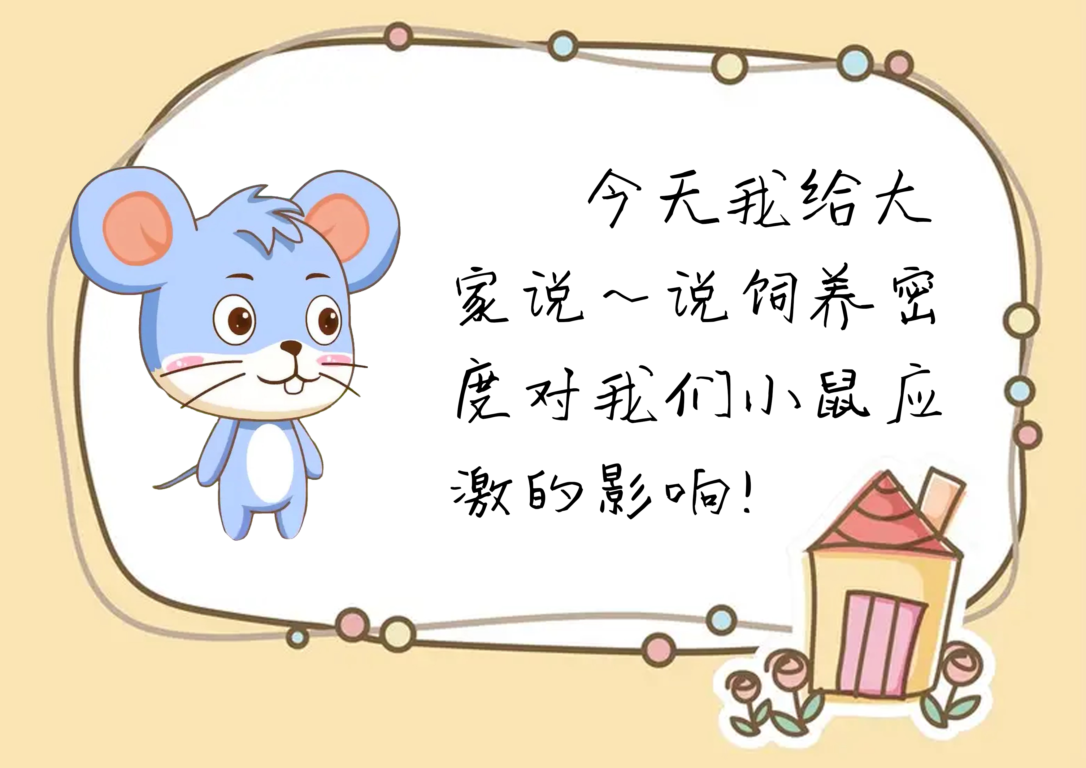 今天我给大家说一说：饲养密度对小鼠应激的影响